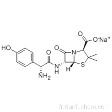 Amoxicilline sodique CAS 34642-77-8